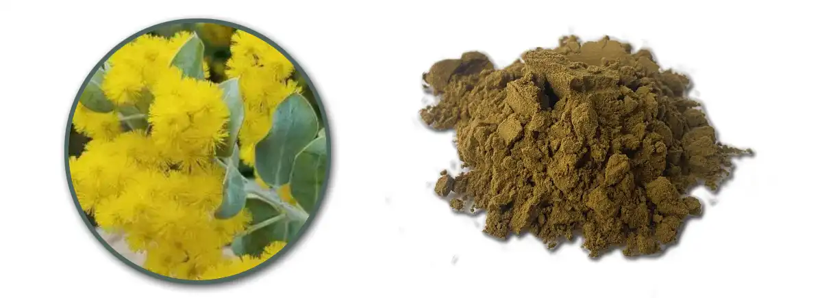 Wattle Bark Extract Facttory.jpg